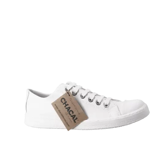 Chacal Women's Ceraline Sneakers- White
