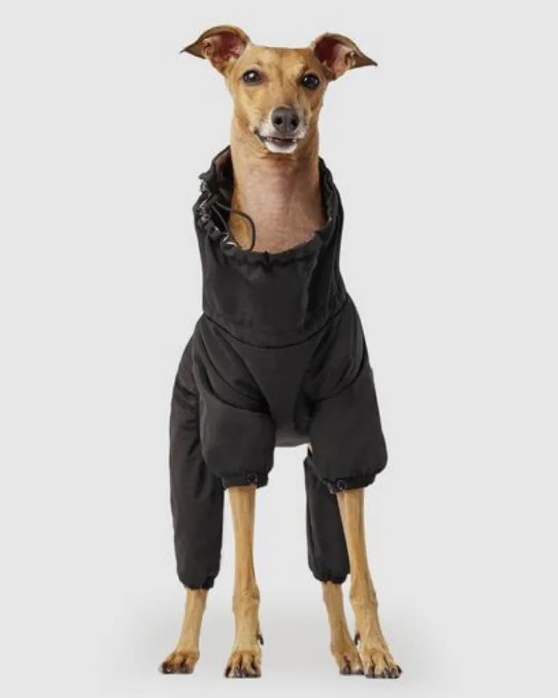 Winter Dog Snowsuit In Black (FINAL SALE)